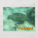 Suche nach hawaii schildkröten postkarten Oahu
