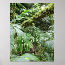 Suche nach regenwälder poster Grün