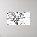 Suche nach blätter des herbstes leinwandbilder Himmel