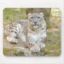 Suche nach katze im schnee mousepads Tiere