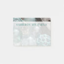 Suche nach glasball Alaska