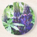 Suche nach lupine untersetzer Blumen