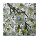 Suche nach kirschblüte fliesen Für alle