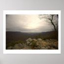 Suche nach hawk poster Natur