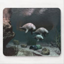 Suche nach manatis unterwasser Wild lebende tiere