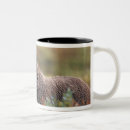 Suche nach grizzlybär tassen Natur