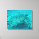 Suche nach schildkröten leinwandbilder Hawaii