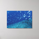 Suche nach malediven auf leinwandbilder Horizontal