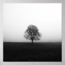 Suche nach einsamer baum poster Natur