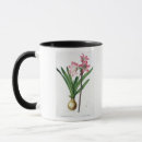 Suche nach amaryllis tassen Redoute