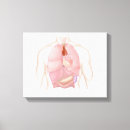 Suche nach verdauungssystem leinwandbilder Gesundheitswesen