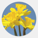Suche nach ostern blumen aufkleber Jede person