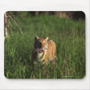 Suche nach bengalische tiger mousepads Natur
