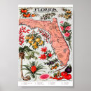 Suche nach everglades poster Florida