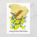 Suche nach südliche blume postkarten Für alle