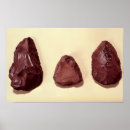 Suche nach paläolithisch poster Kopf