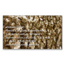 Suche nach baumrinde magnete Holz