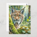 Suche nach wildkatze postkarten Aquarell