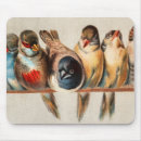 Suche nach tauben mousepads Niedlich