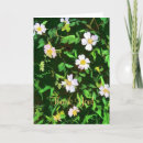 Suche nach plant postkarten Floral