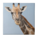 Suche nach porträt fliesen Giraffe