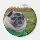 Suche nach pug magnete Cute