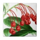 Suche nach beeren fliesen Botanisch