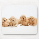 Suche nach golden retriever welpe mousepads Niedlich