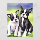 Suche nach boston terrier postkarten Hundekunst