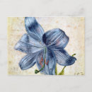 Suche nach studieren sie mich nicht postkarten Zeichnend