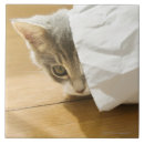 Suche nach hauskatzen fliesen Horizontal