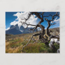 Suche nach danita delimont postkarten Landscape