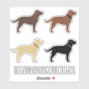 Suche nach schokolade labrador elektronik zubehör Schokoladenlabrador