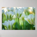 Suche nach träumerei poster Blumen