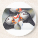 Suche nach mund untersetzer Wild lebende tiere