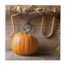 Suche nach bauern fliesen Herbst