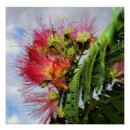 Suche nach rosa blüten auf baum poster Für sie