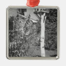 Suche nach vogelhaus ornamente Baum