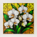 Suche nach weiße orchideen puzzle Blume