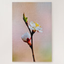 Suche nach japanische blumen puzzle Für alle