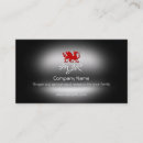 Suche nach drache visitenkarten Jede person