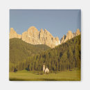Suche nach dolomiten magnete Italienisch