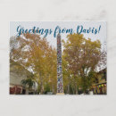 Suche nach davis postkarten California