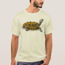 Suche nach dosenschildkröte Für alle