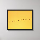 Suche nach wildlife leinwandbilder Natur