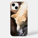 Suche nach grauer wolf iphone hüllen Natur