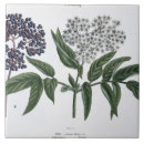 Suche nach veg fliesen Frucht