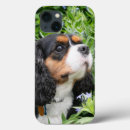 Suche nach tri iphone hüllen Hund