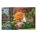 Suche nach strauch poster Blumen