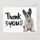 Suche nach französische bulldogge karten Hündchen